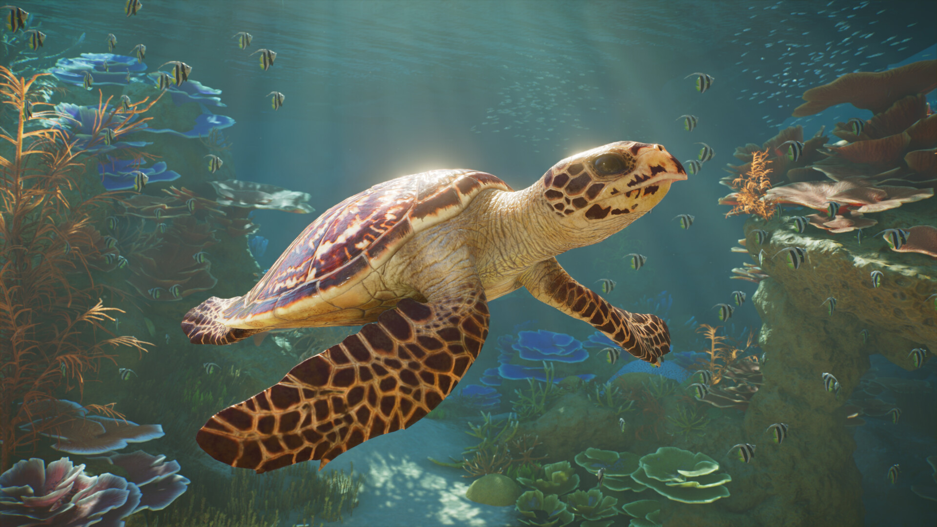 Planet Zoo 2 announcement