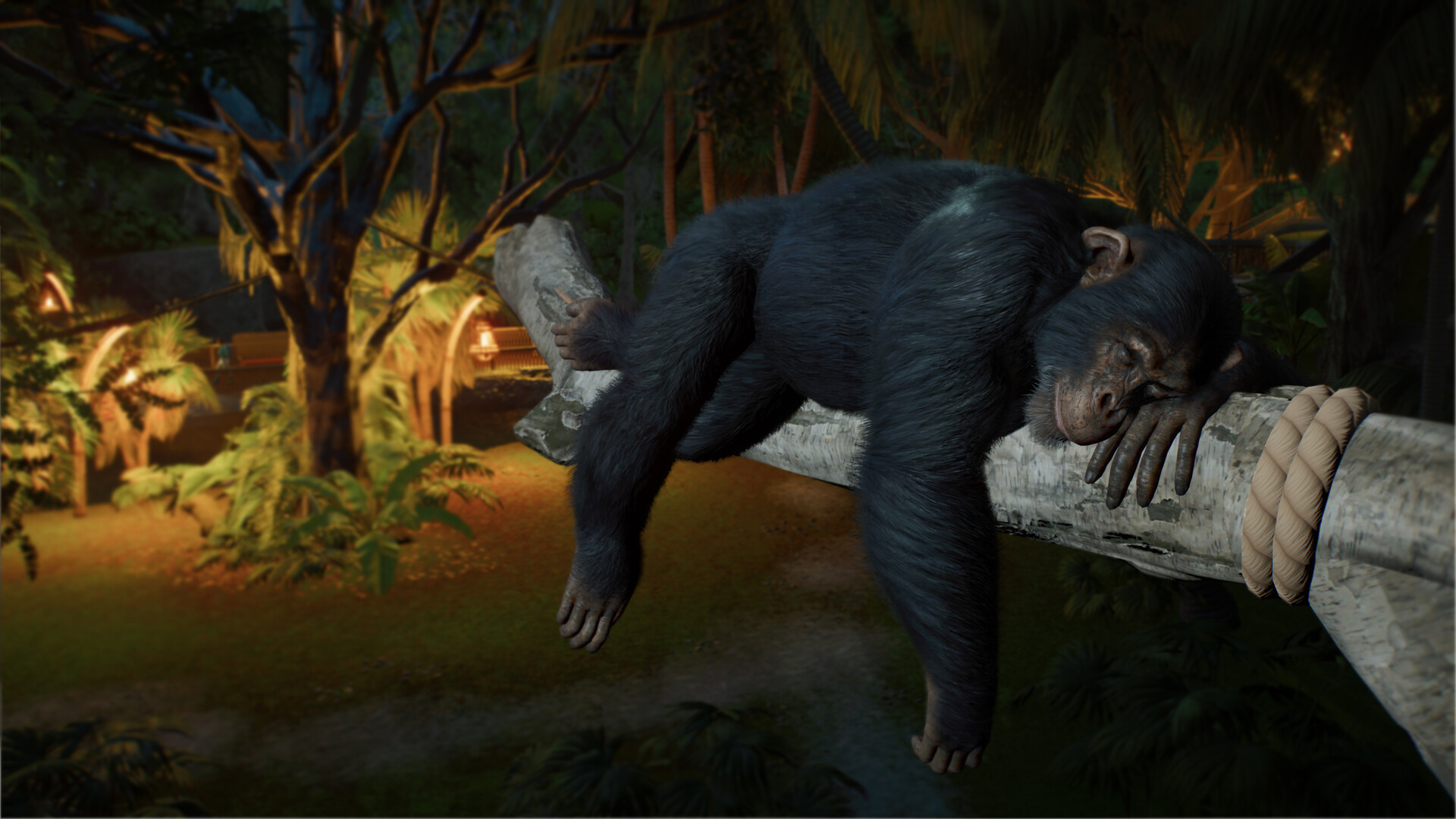 Planet Zoo 2 editions